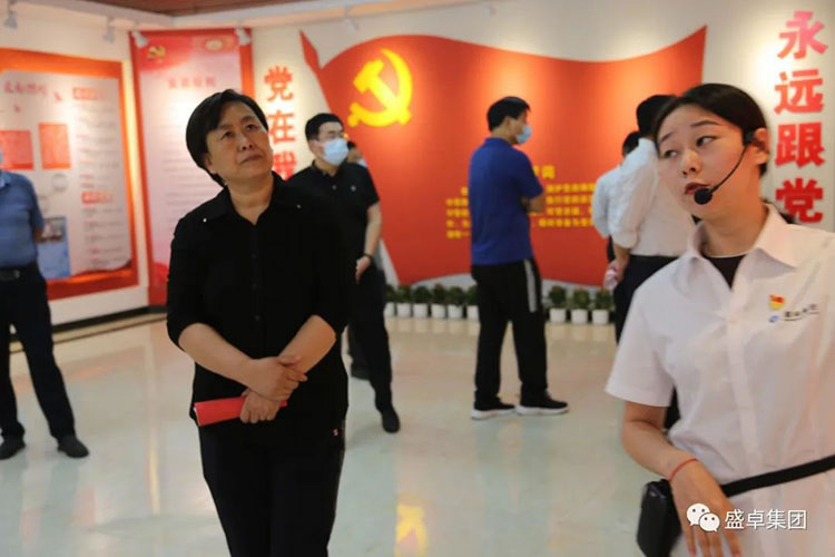 区人大主任刘素芳带领区人大代表莅临公司视察指导工作