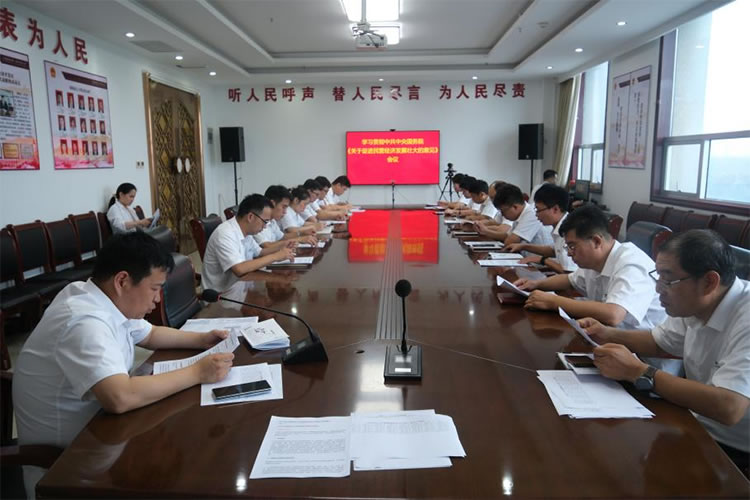 公司党委迅速传达贯彻落实《中共中央、国务院关于促进民营经济发展壮大的意见》精神
